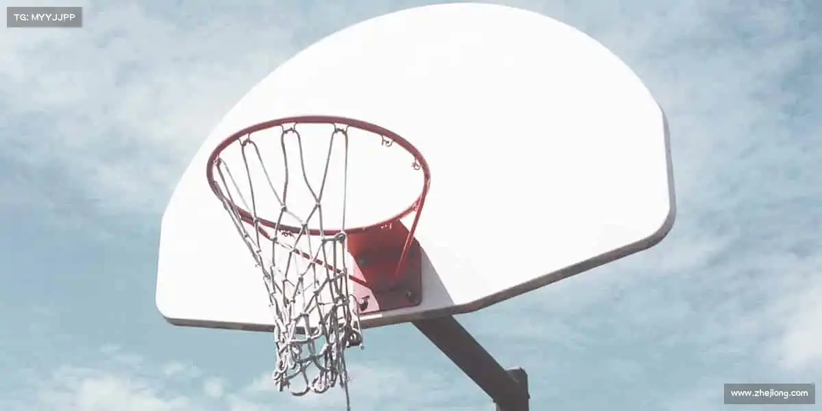 金年会com——聚热爱，动起来，共赴健康新未来！🌟